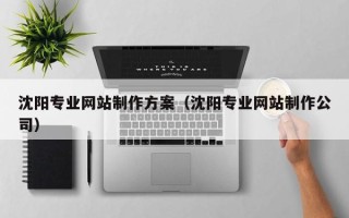 洛阳沈阳专业网站制作方案（沈阳专业网站制作公司）